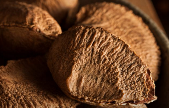 스크린샷 2025-08-07 115736.png